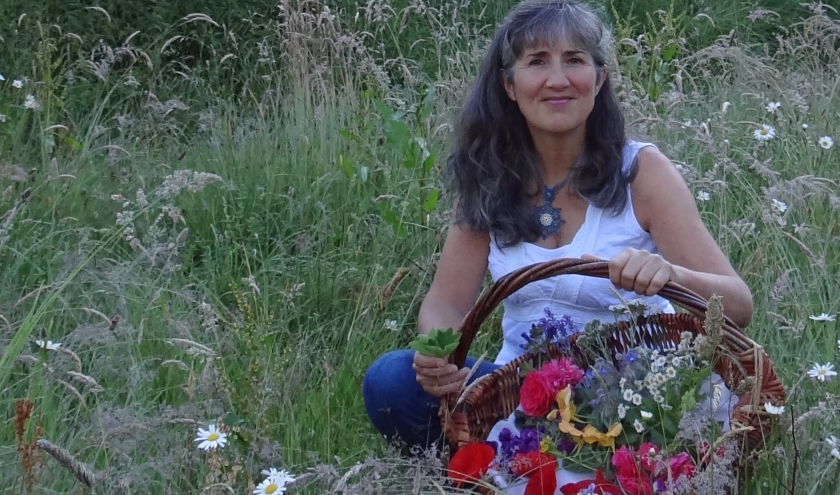  Françoise Gabriel Nos plantes sauvages  Comment les récolter, les cuisiner et les utiliser en remèdes 