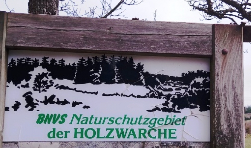 Holzxwarche 2023 ( Photo :F. Detry )