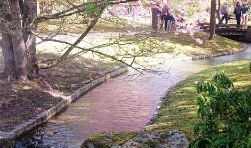 Toutes les photos sont de François Detry