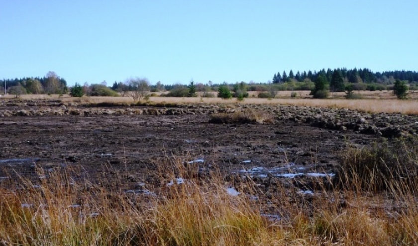 Projet LIFE dans les Fagnes ( 2009 )