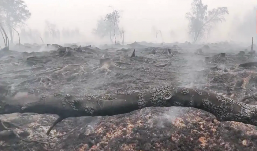 Incendie dans les Hautes Fagnes Incendie dans les Hautes Fagnes