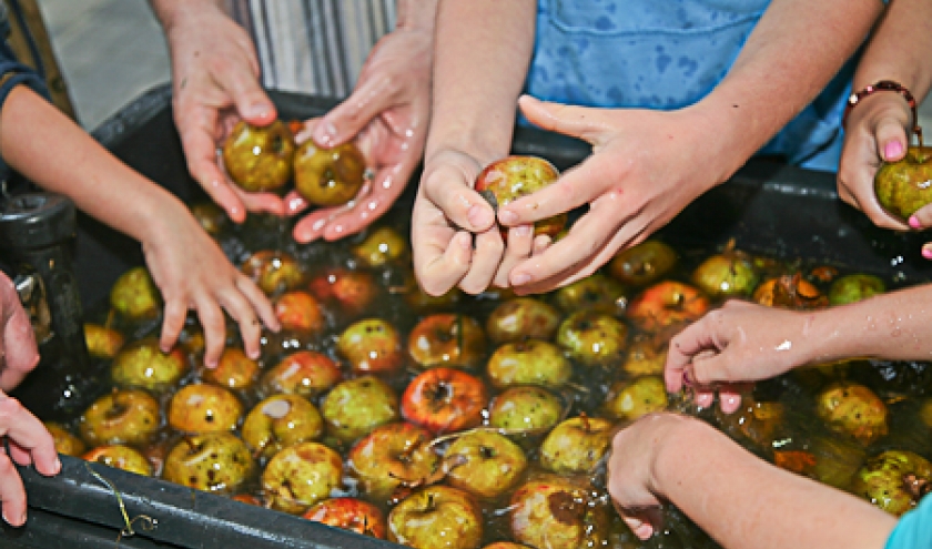 Jus de pommes Gedinne Ecolo