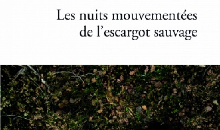 Les Nuits mouvementees de l escargot sauvage de Elisabeth Tova Bailey  Editions Autrement.