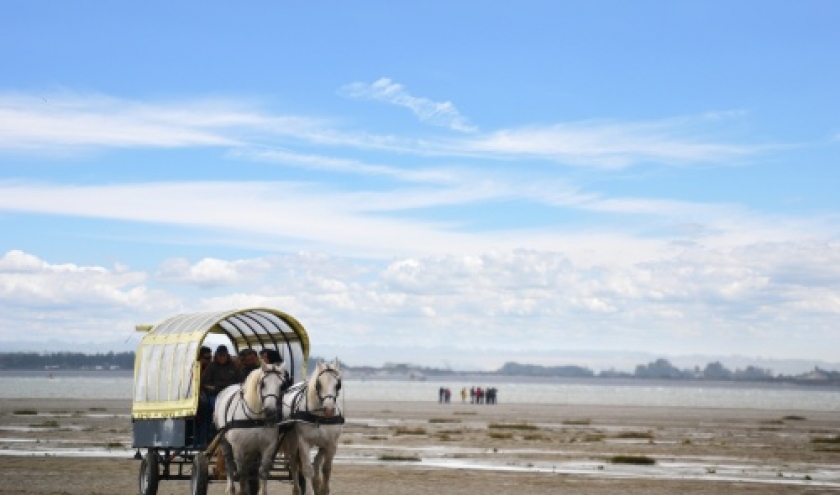 Baie de Somme