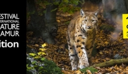 25e "Festival International Nature-Namur", du 11 au 20 Octobre