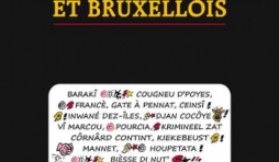 Le GROS DICO des JURONS WALLONS et BRUXELLOIS