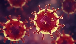 le coronavirus, le confinement et les futurs vaccins.