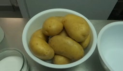 Patates