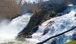Le débit actuel de la cascade ( photo F. Detry )