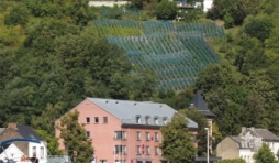 Vignobles de Sambre et de Meuse  12 siecles d histoire de Guy Durieux et Marc Vanel. 