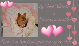 Bientot la st valentin